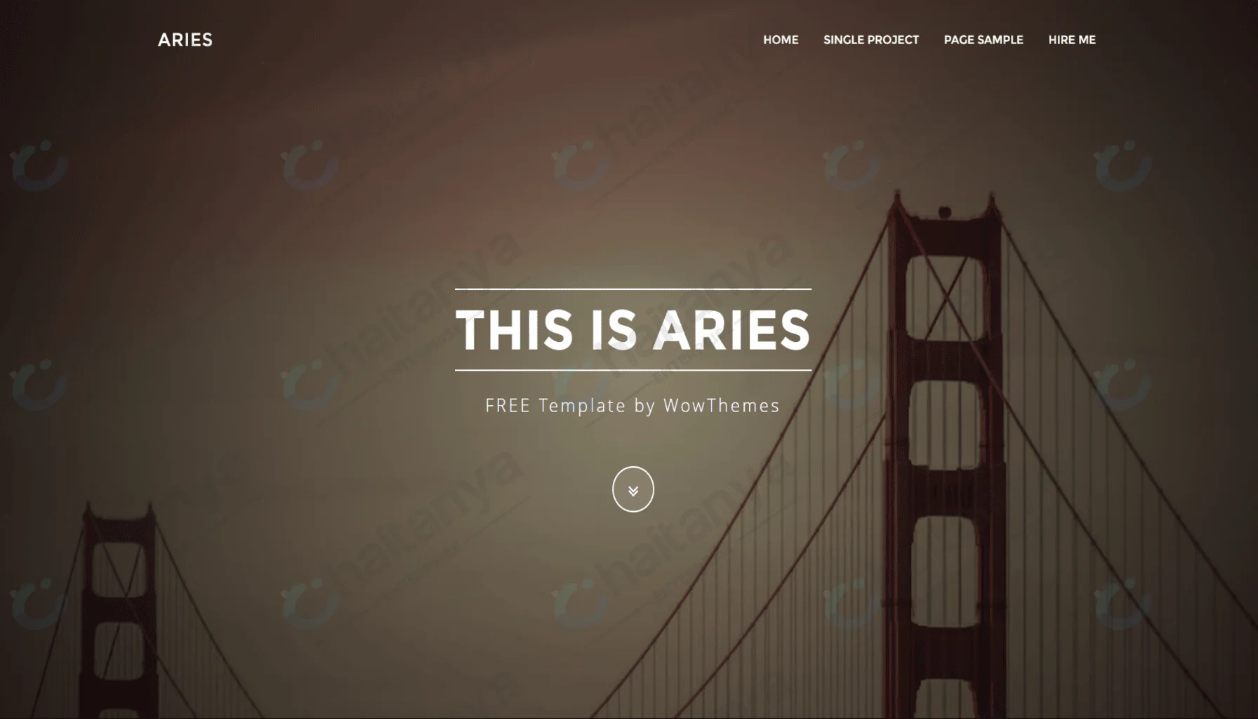 Aries v1.0 resume CSS Template