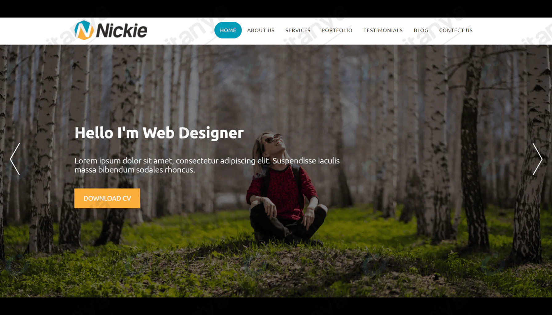 Nickie CSS Template