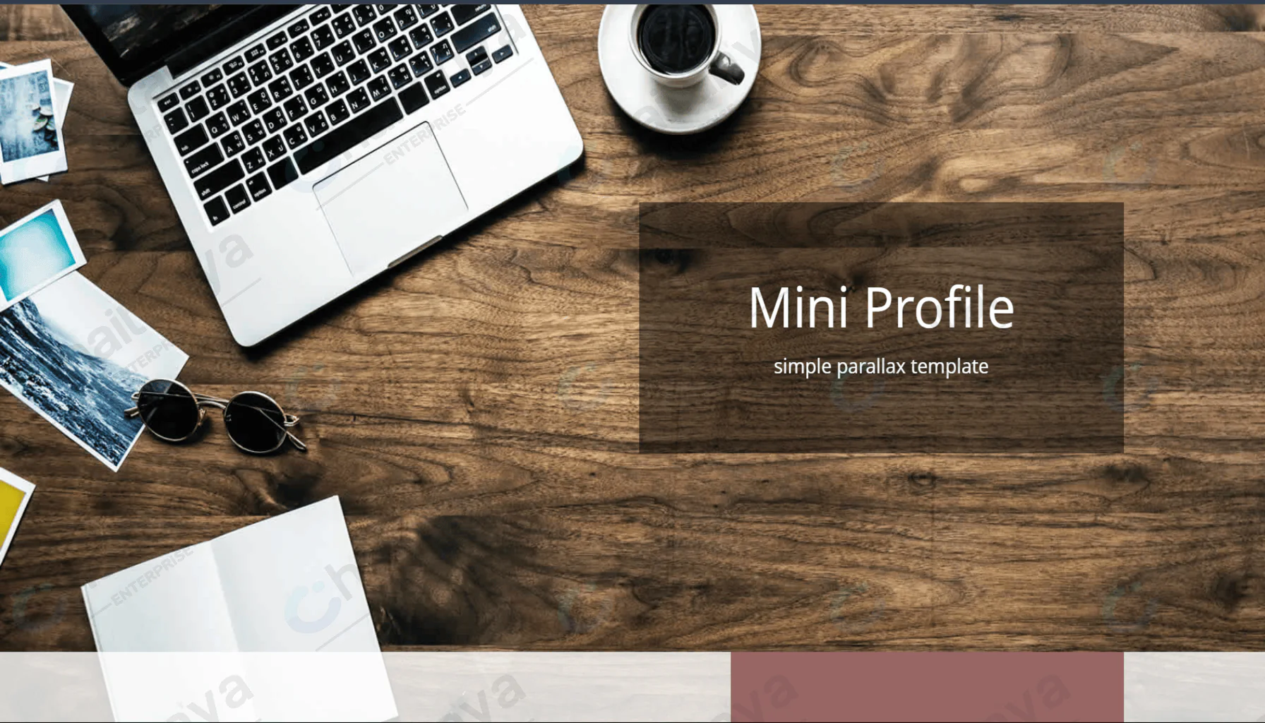 Mini Profile CSS Template